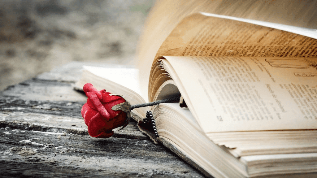rose on book